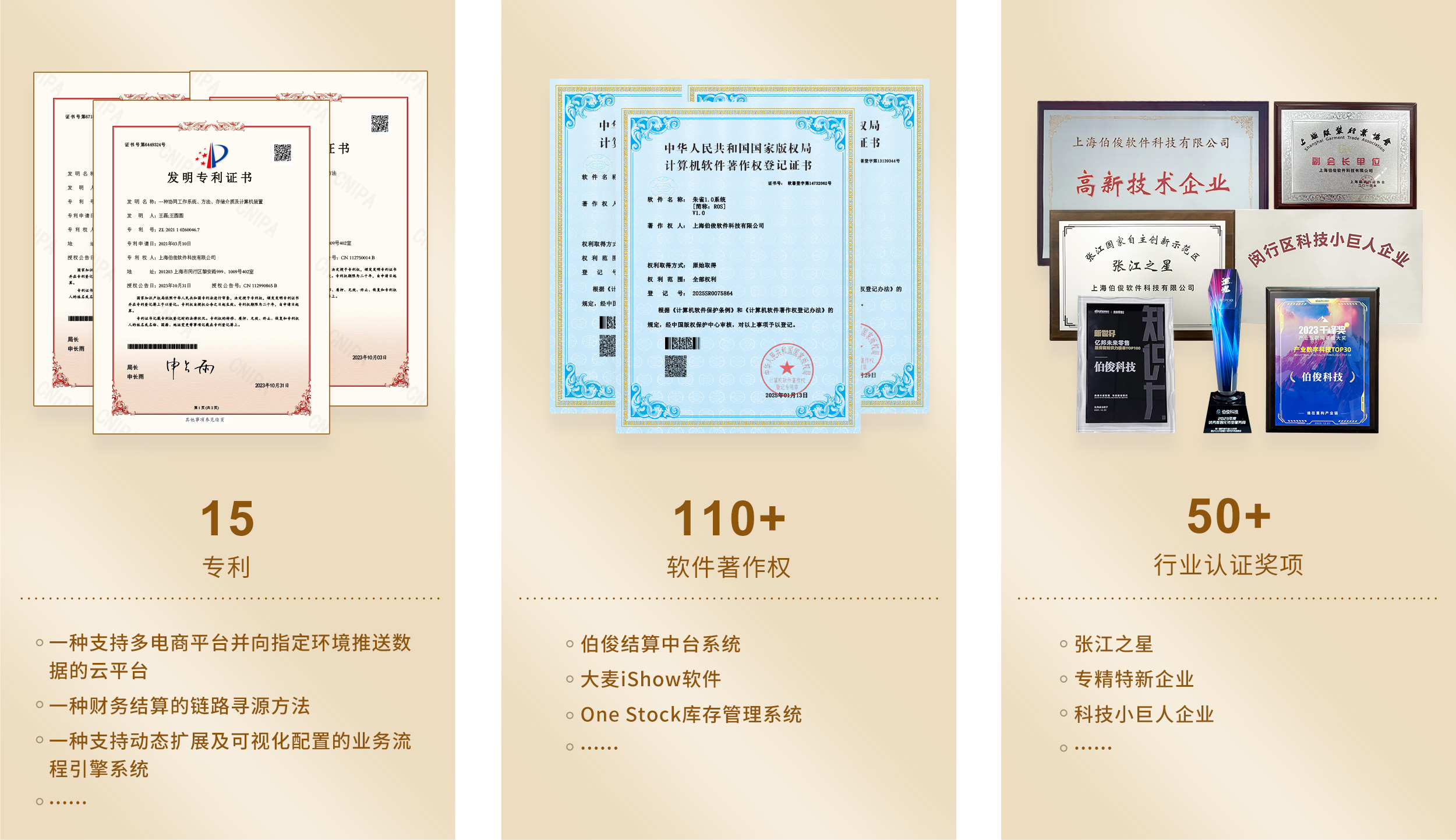 15项专利，110+软件著述权